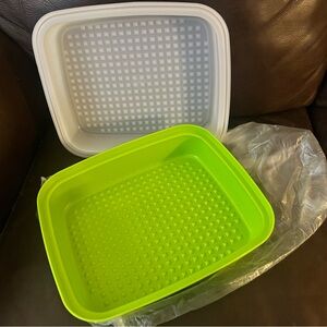 Tupperware Bright Green Season Serve container